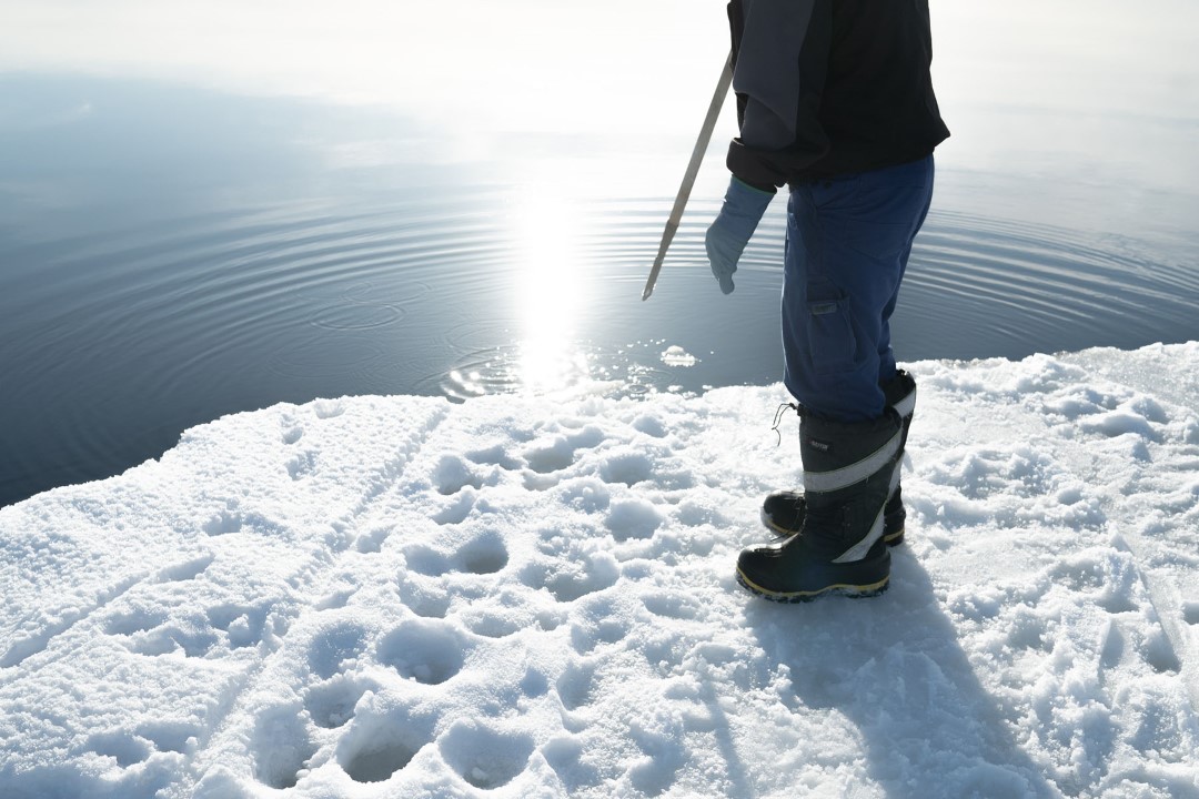 Incontro con guida locale - Ilulissat